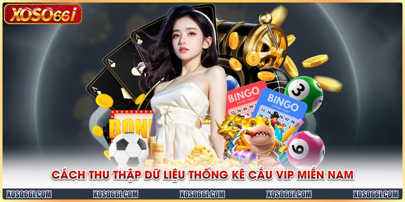 Cách thu thập dữ liệu thống kê cầu VIP miền Nam