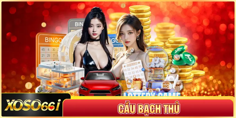 Cầu Bạch Thủ