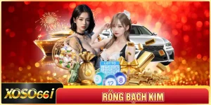 Rồng Bạch Kim