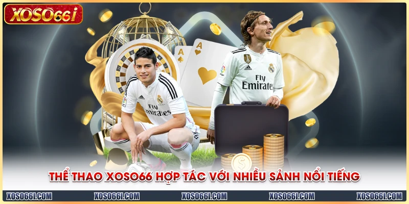 Thể thao XOSO66 hợp tác với nhiều sảnh nổi tiếng